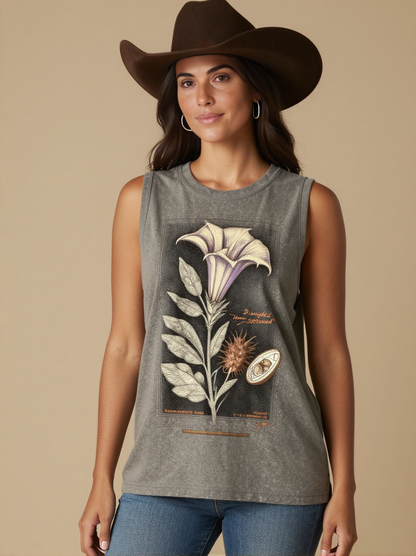 Sacred Datura Specimen RB-TOP13 – Front View – Jessie – Washed Grey